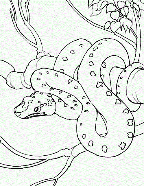 Dibujos de serpientes para pintar