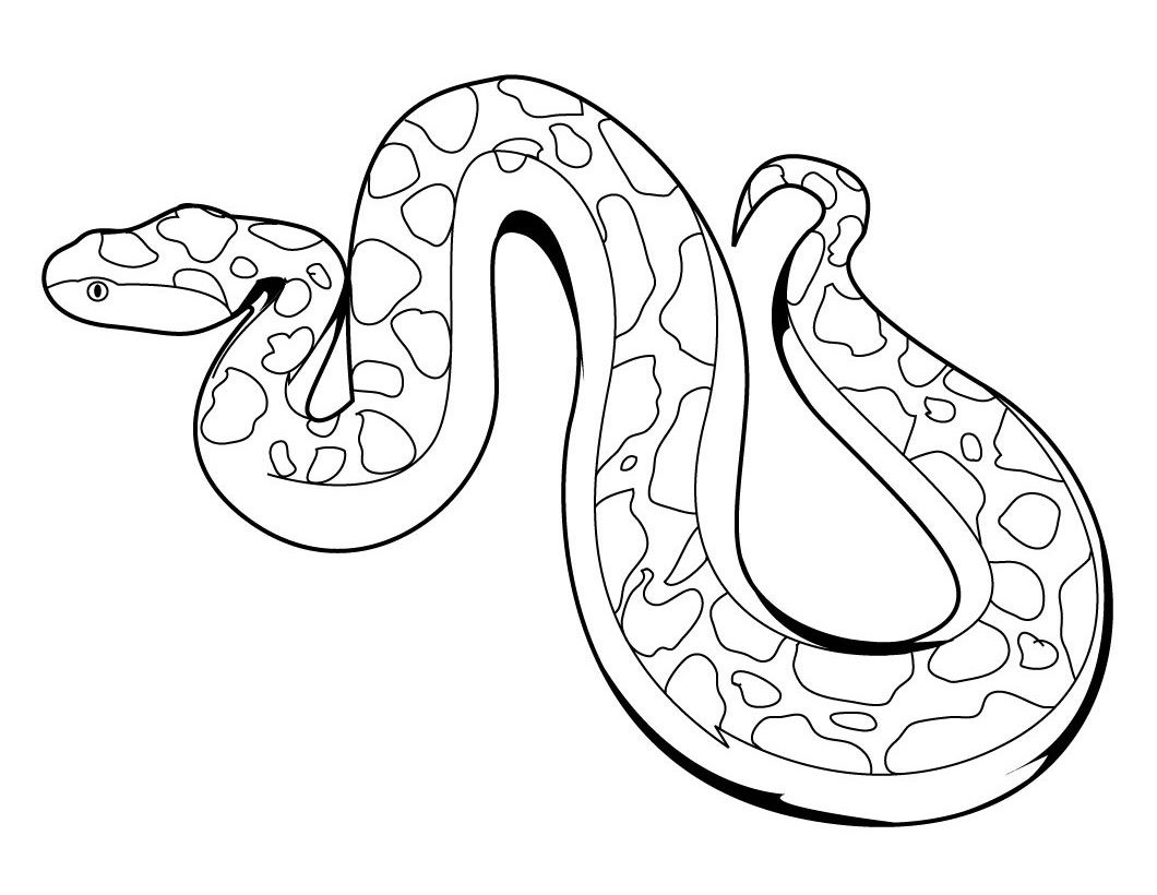 Serpientes para pintar
