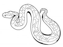 Serpientes para pintar