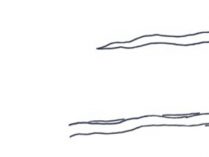 Locomoción rectilínea (Oruga)